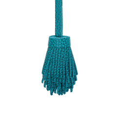 Aquarius